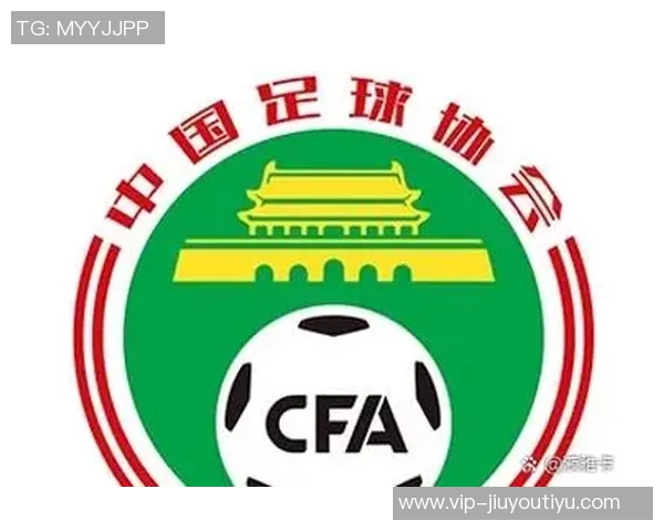 2025年中超俱乐部实力与历史底蕴对比分析泰山领跑申花紧随其后国安位居第三