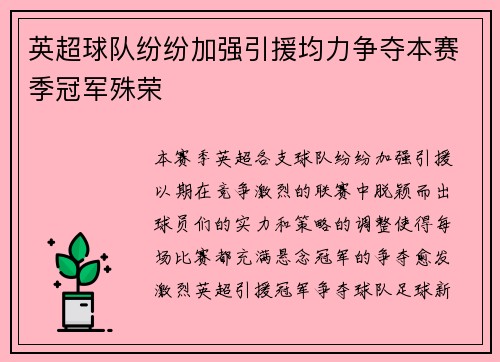 英超球队纷纷加强引援均力争夺本赛季冠军殊荣